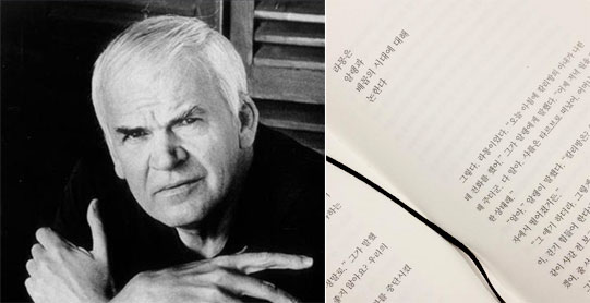 무의미의 축제 작가 - 밀란 쿤데라